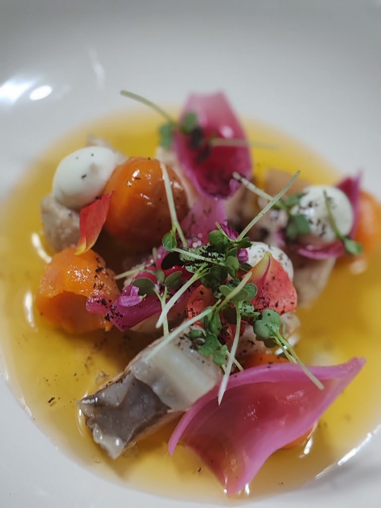 Shark in Pickled Water